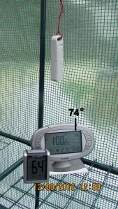 Temperature in greenhouse at one