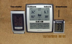 Temperature at five AM