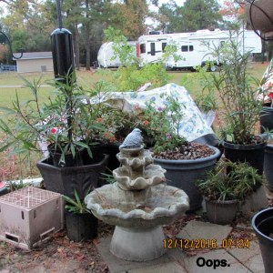 Oops, overturned planter