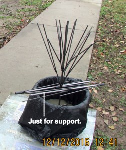 Support for bottle bush