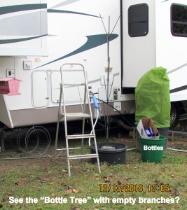 Bottle Tree in new location