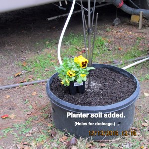 Planter soil added