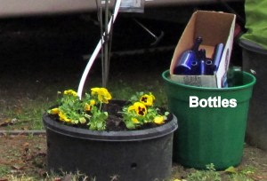 Pansies in planter