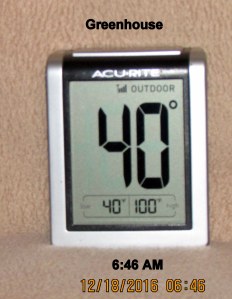 Temperature in greenhouse at six-forty