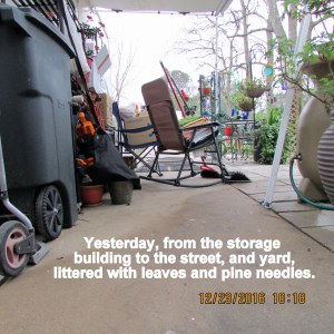 Patio after raked and swept