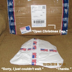 Gift from Mr. Dave. the bottle tree man