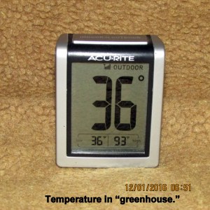 Temperature in green house