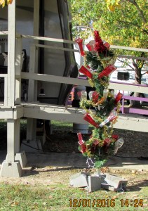 Complete Bottle Tree in sunshine