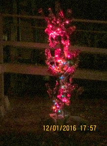 Lights on Bottle Tree