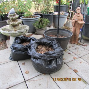 Close up of bags of mulch
