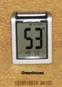 Greenhouse at four AM