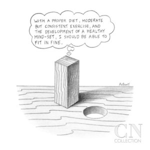 sqyare-peg-in-round-hole-cartoon-2