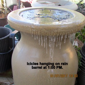 Icicles on rain barrel