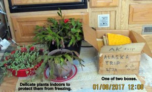 Box of Alaska trip memorabilia