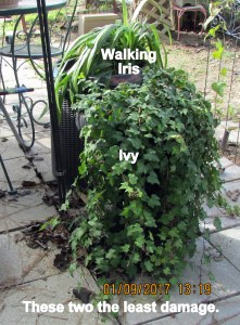 These two least damage