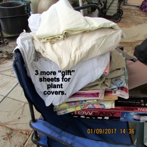 Three gift sheets for plant covers