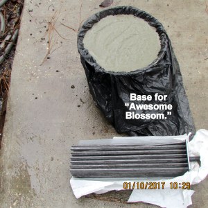 Awesome Blossom by base