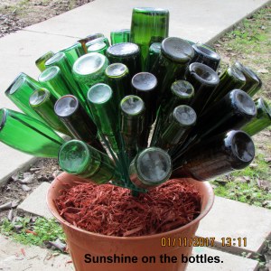 Sunshine on the bottles