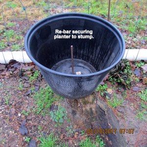 Re-bar through planter