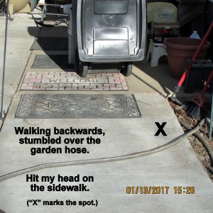 Stumbled over the garden hose