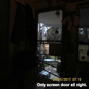 Screen door all night