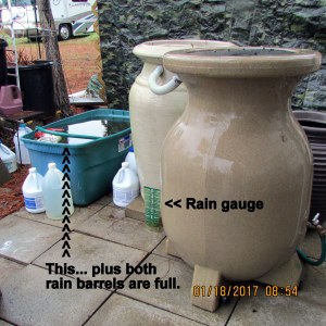 Rain barrels are full