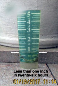 Rain gauge close up