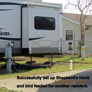 Shepherd's hook and bird feeder for Alice