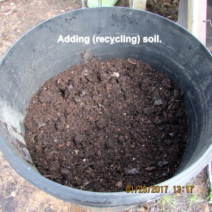 Adding recycled soil