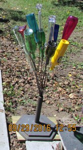 The early base on Bottle Bush