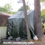 Tarp shelter