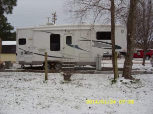 Naked yard January 2014