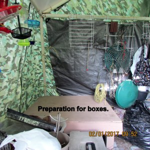 Preparation for boxes