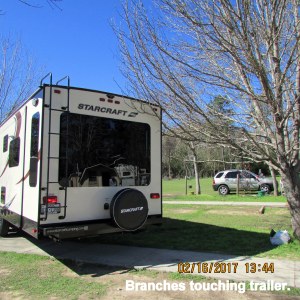 You're going to hit the tree (2)