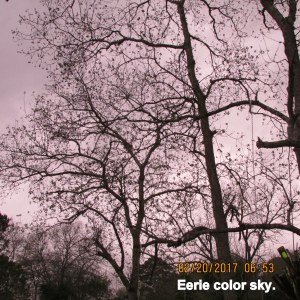 Eerie color sky
