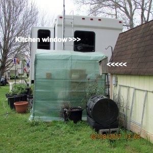 Outside view of kitchen window
