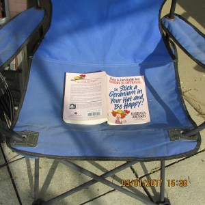 Book in a lawn chair