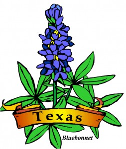 texas-bluebonnet-flower