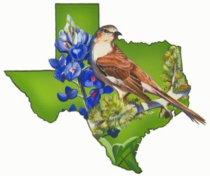 texas-shape-with-blue-bonnet-and-bird